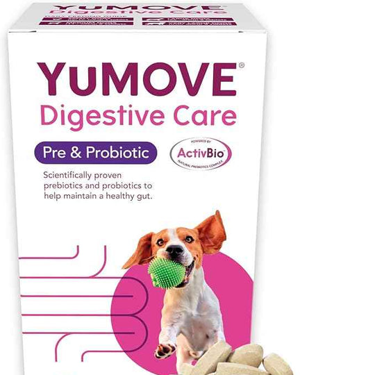 YuMOVE Digestive Care, Dog Pre and Probiotics Supplement for Gut Health and Digestive Support